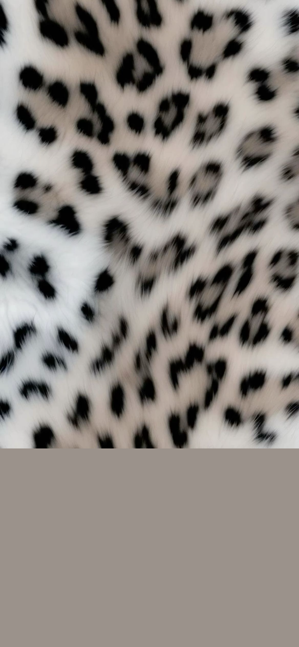 cookiecreamsz OnlyFans profile picture