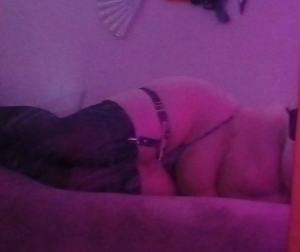 wyeravich1 OnlyFans profile picture