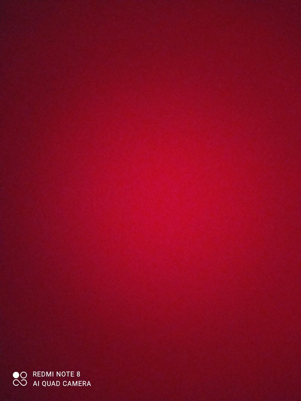 mikkkeila OnlyFans profile picture