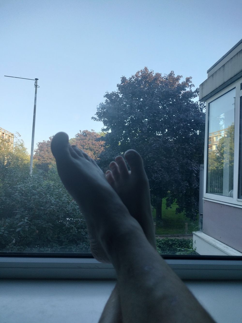 pringlefeetandrequests OnlyFans profile picture