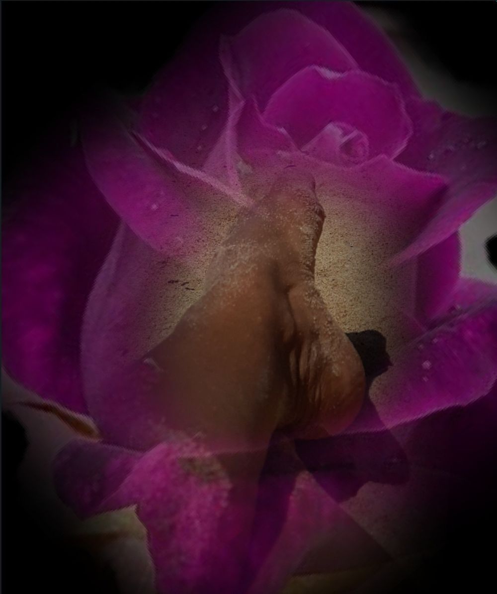 aromadepetalas OnlyFans profile picture