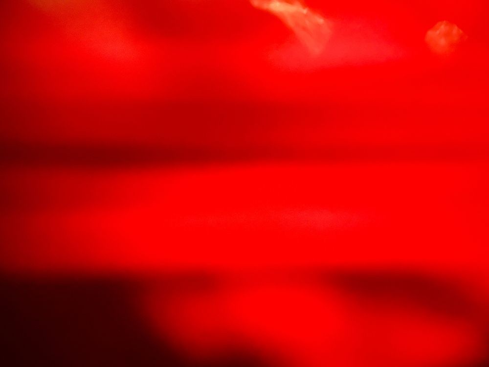 neonoranges OnlyFans profile picture