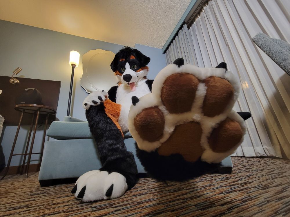 angrybarks OnlyFans profile picture