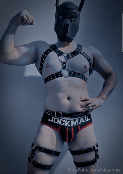 mfsonora OnlyFans picture
