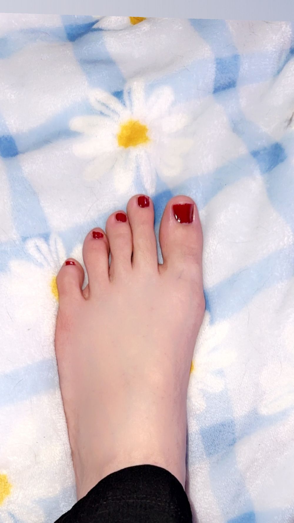 lilibethpearl OnlyFans profile picture