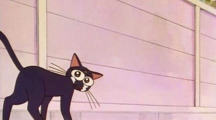 vixxshi OnlyFans profile picture