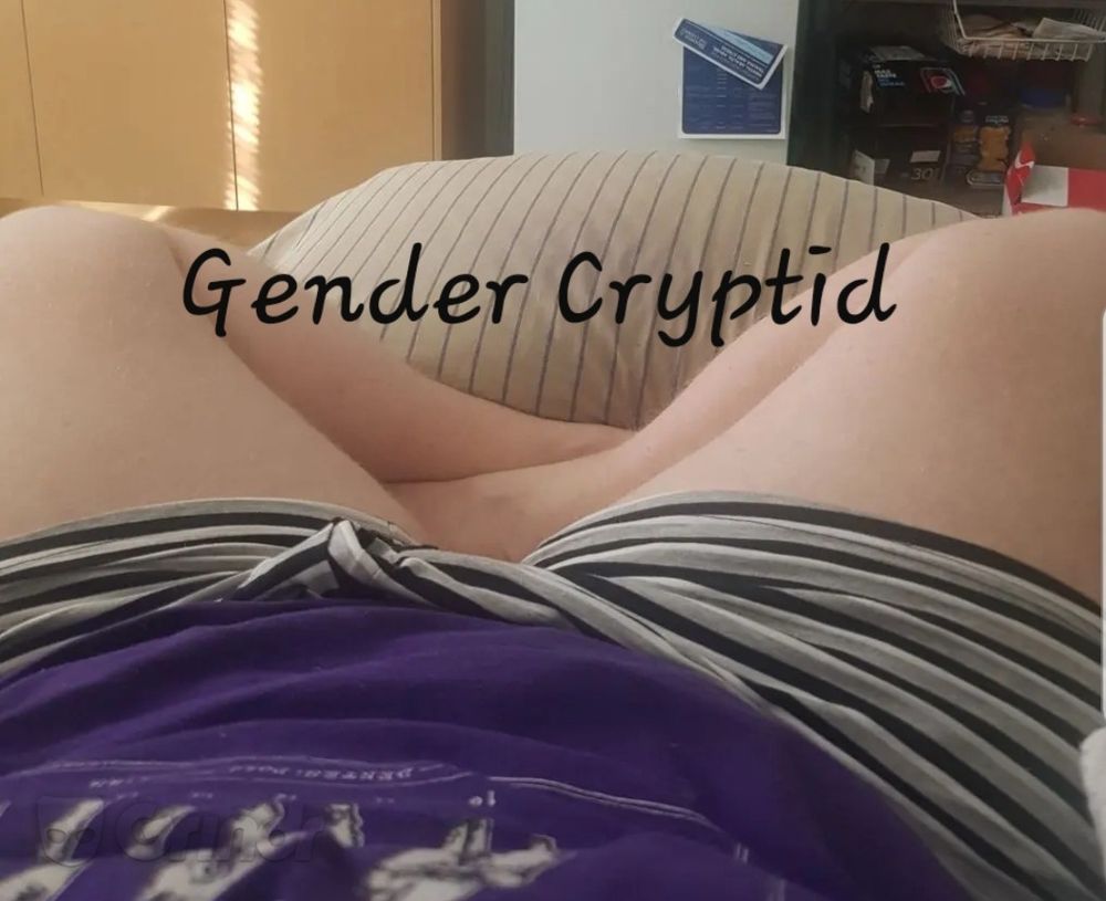 gendercryptid OnlyFans profile picture