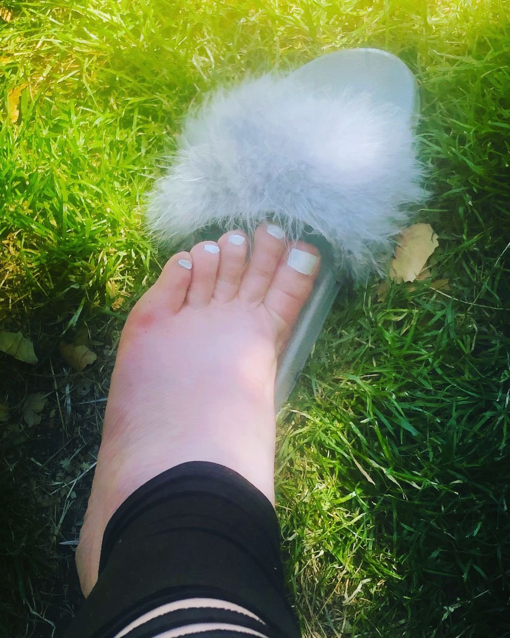 romanyfeet OnlyFans profile picture