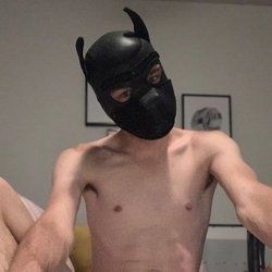 pupfuego OnlyFans picture