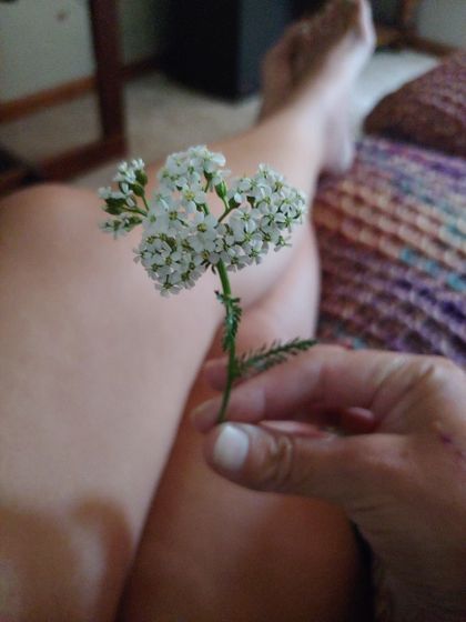 madiravega OnlyFans picture