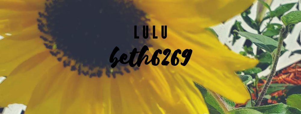 lulubeth6269 OnlyFans profile picture