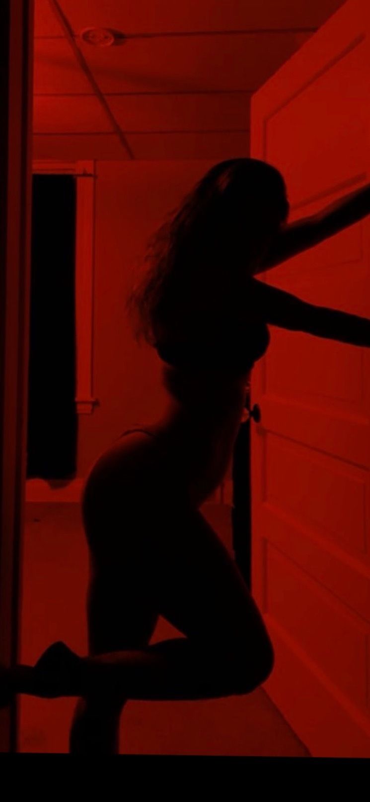 toriilynnz OnlyFans profile picture