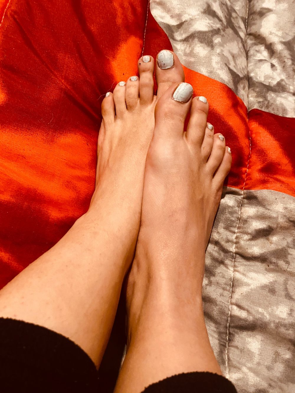 ccclara OnlyFans profile picture