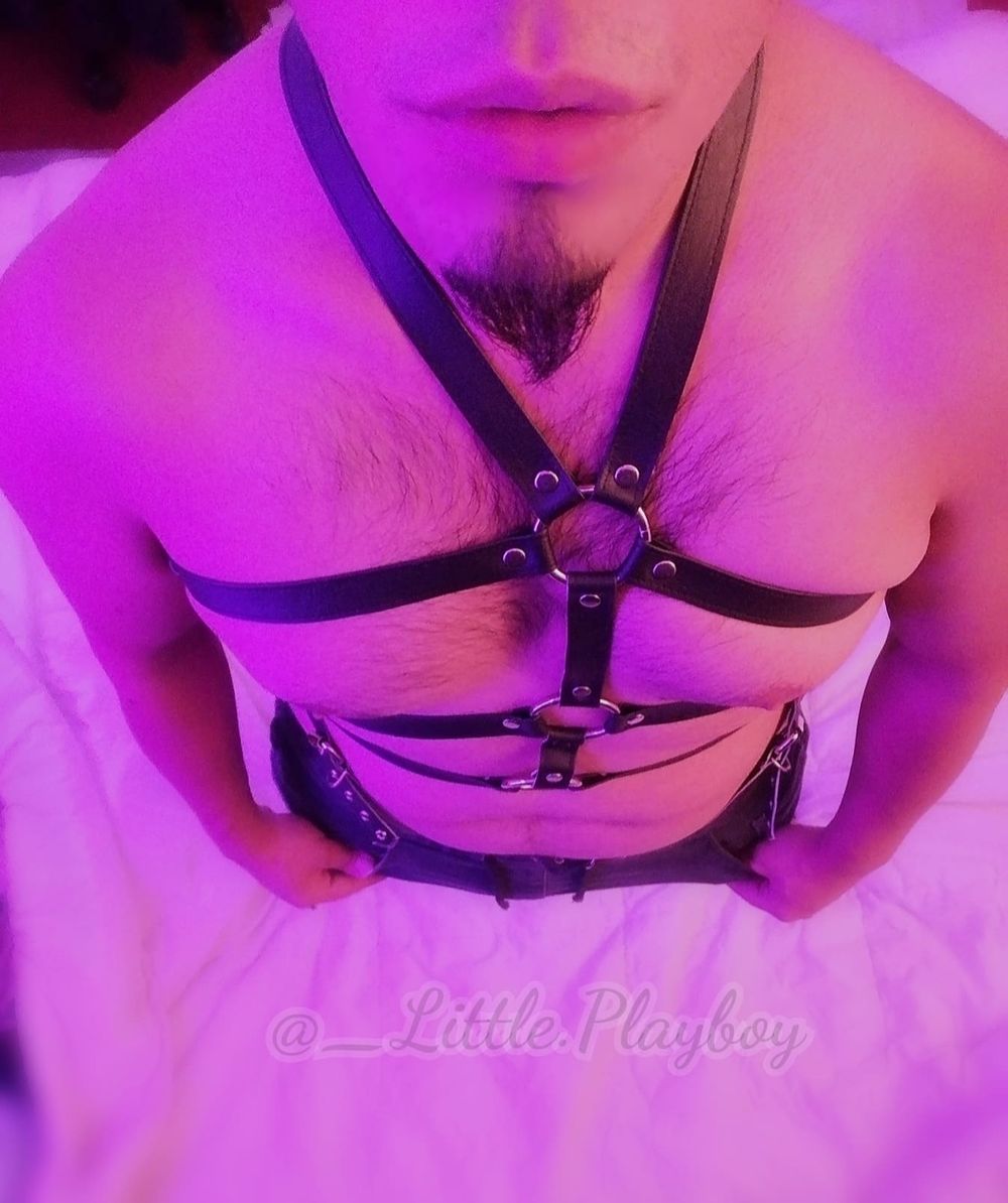 little.playboy OnlyFans profile picture