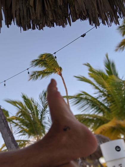 feetbycarlo OnlyFans picture