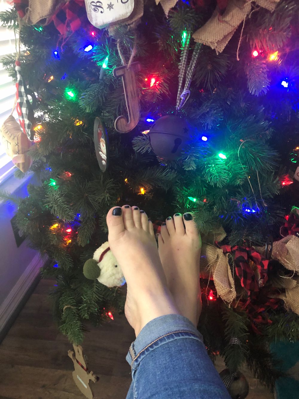 floridacougar OnlyFans profile picture