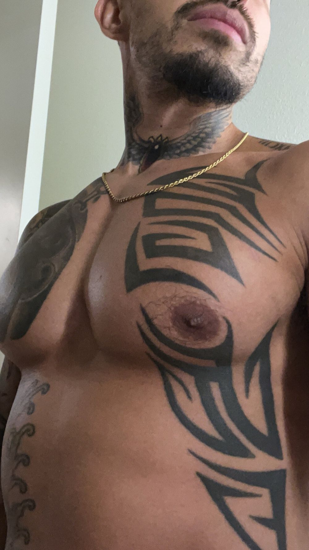 delatinopapi OnlyFans profile picture
