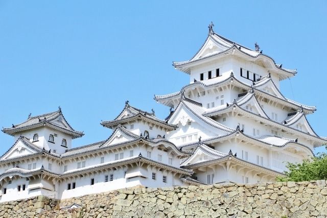 u224508161 OnlyFans profile picture