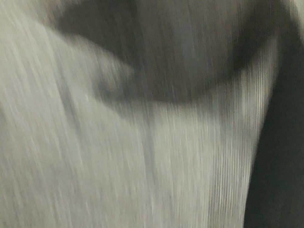 thebubbleb OnlyFans profile picture