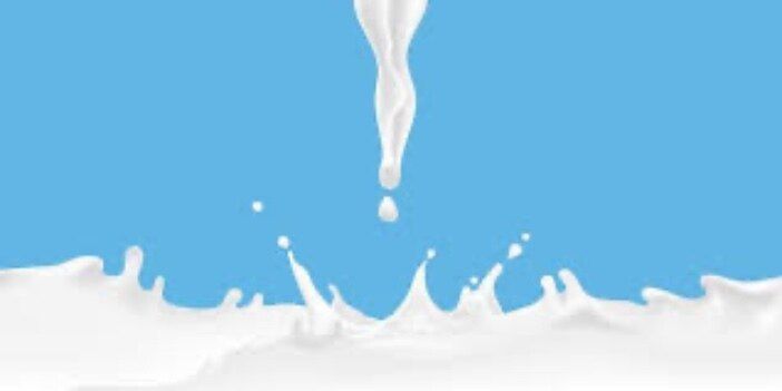 shewantsmilk OnlyFans profile picture