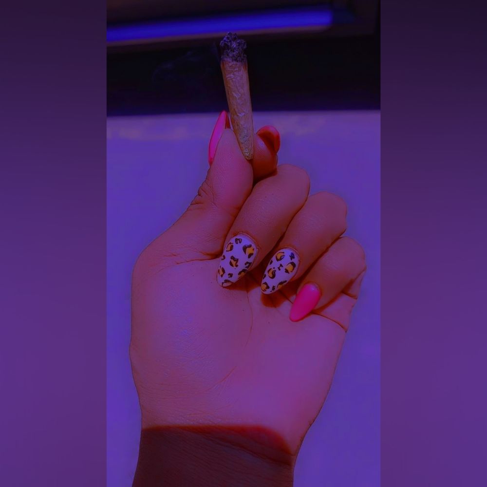 chinaer OnlyFans profile picture