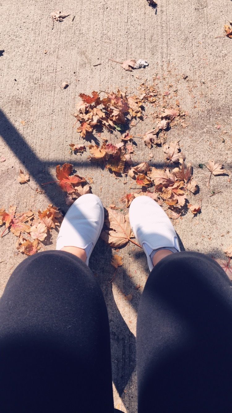 maiveen OnlyFans profile picture