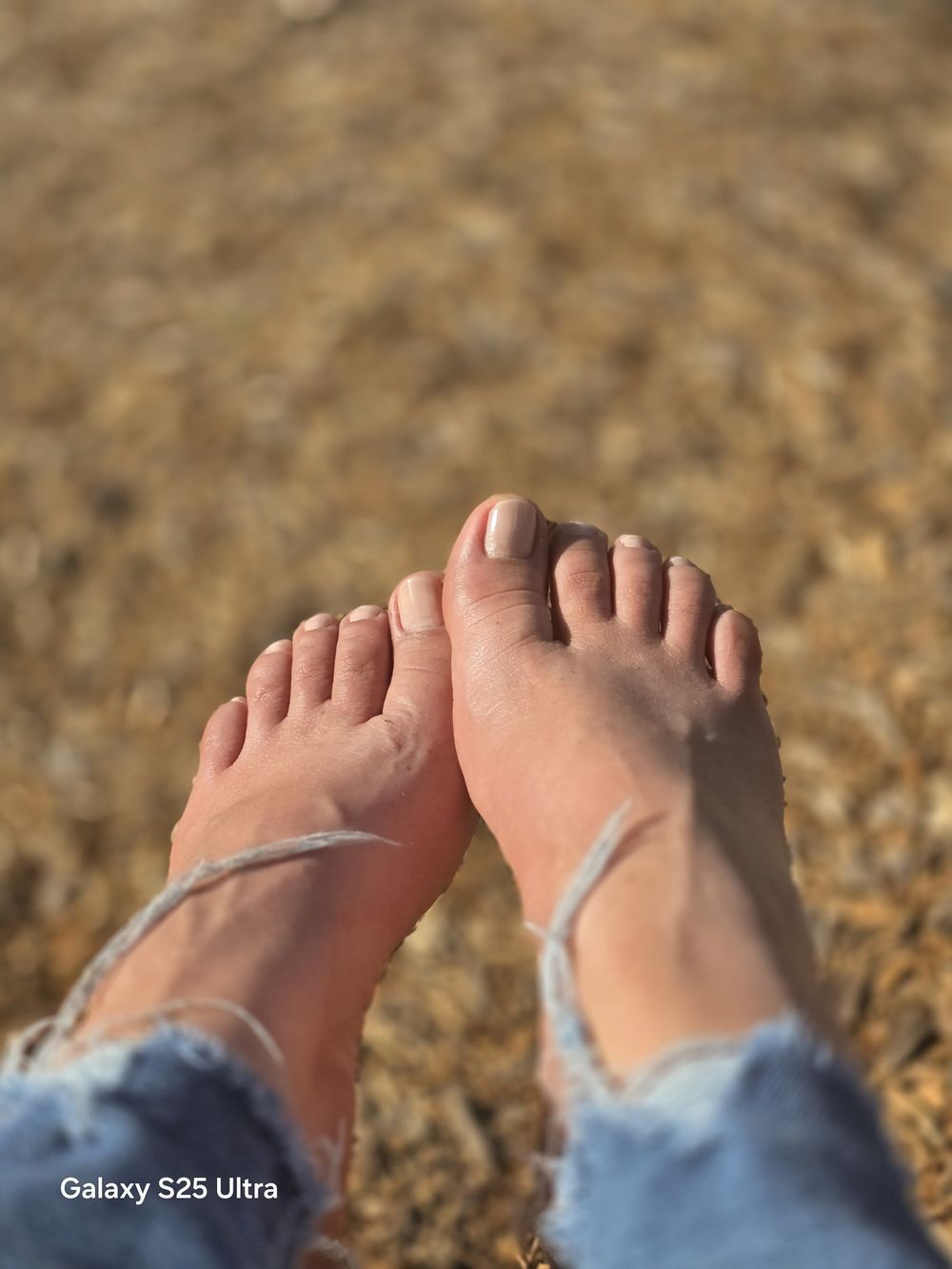 maferfeet19 OnlyFans profile picture