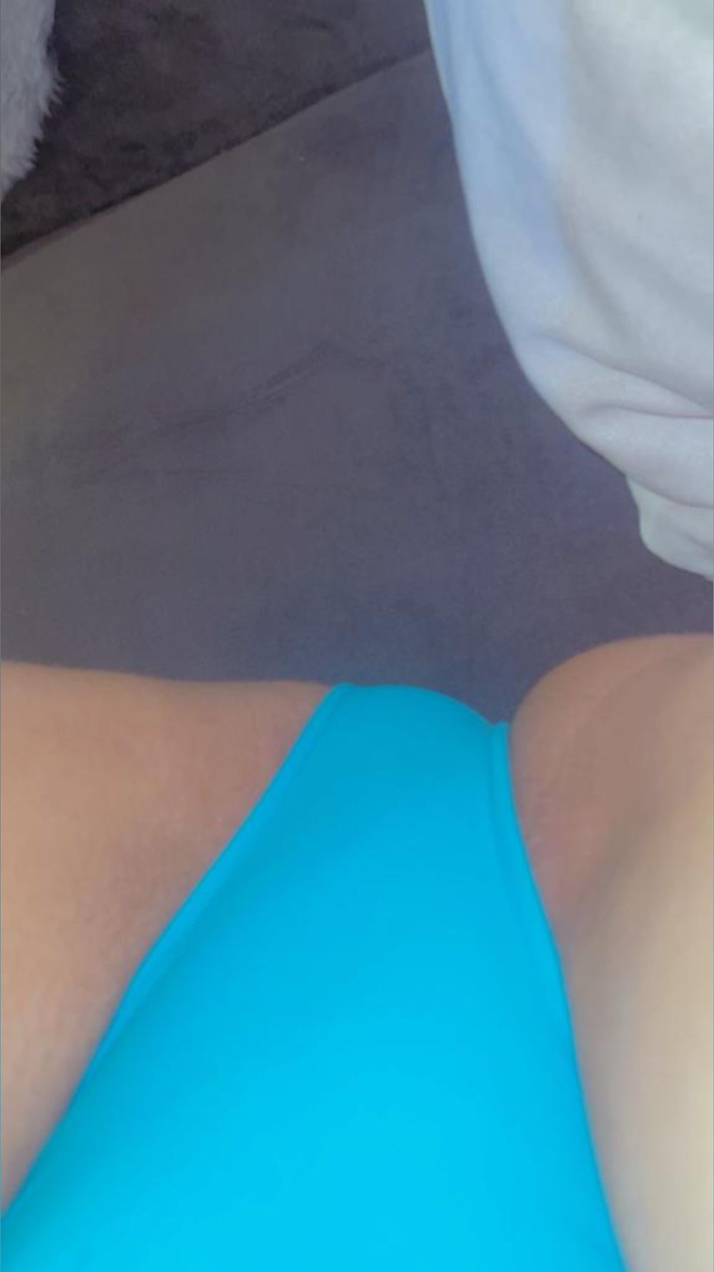 perrita_oficial OnlyFans profile picture
