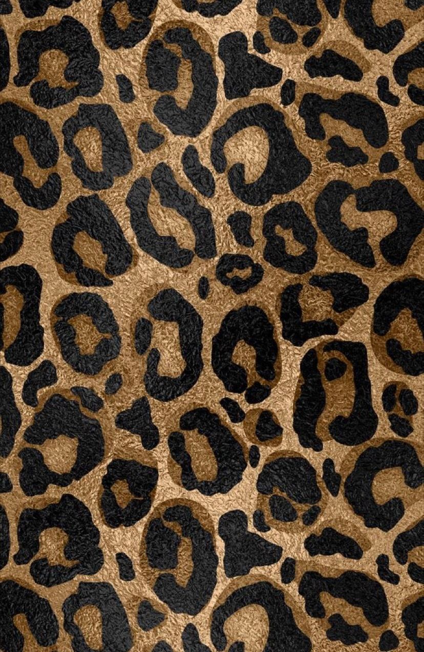 taymcm OnlyFans profile picture