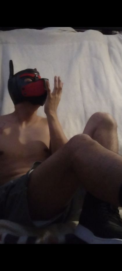 u254014960 OnlyFans picture