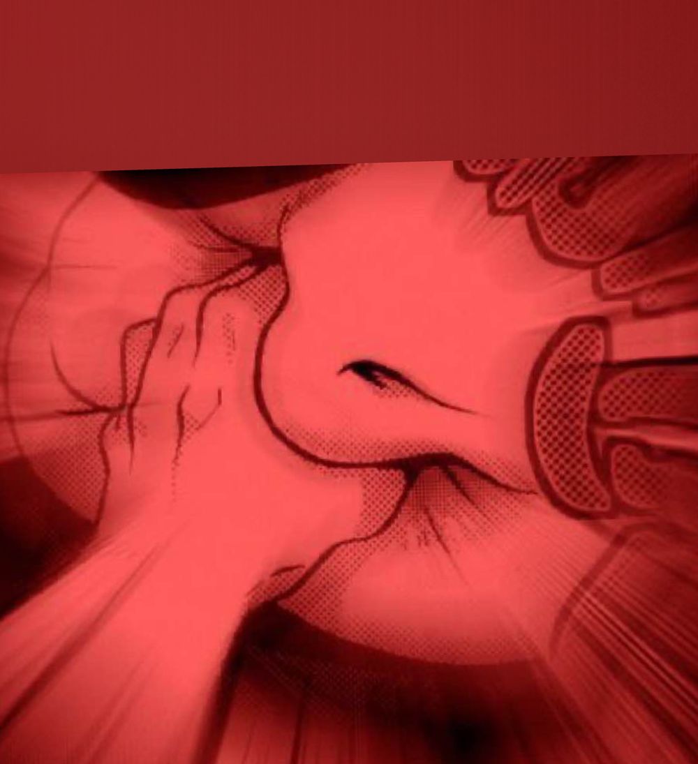 wyntervixxen OnlyFans profile picture