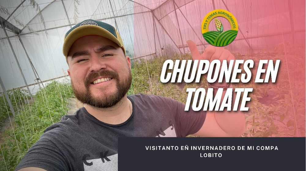 tipsytemasagronomicos1 OnlyFans profile picture