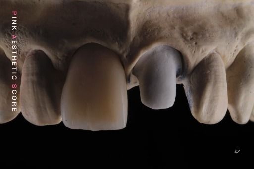 onlydentistry OnlyFans profile picture