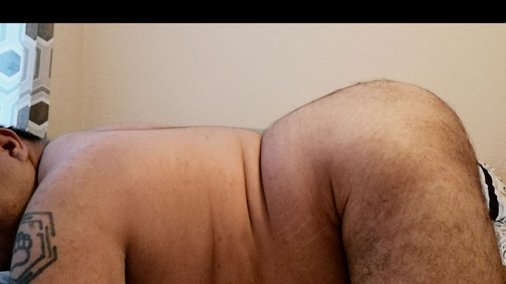 sanbolocub OnlyFans profile picture