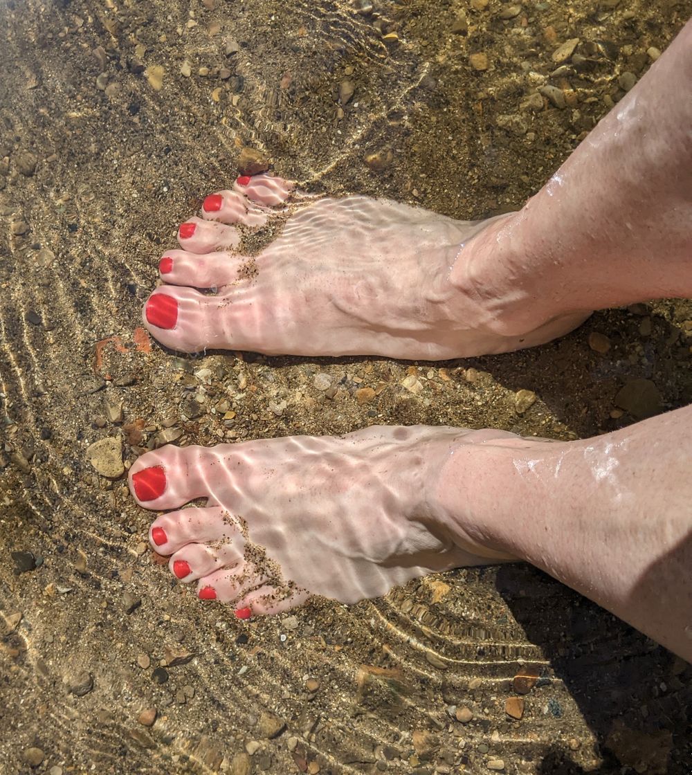 trophytoes OnlyFans profile picture