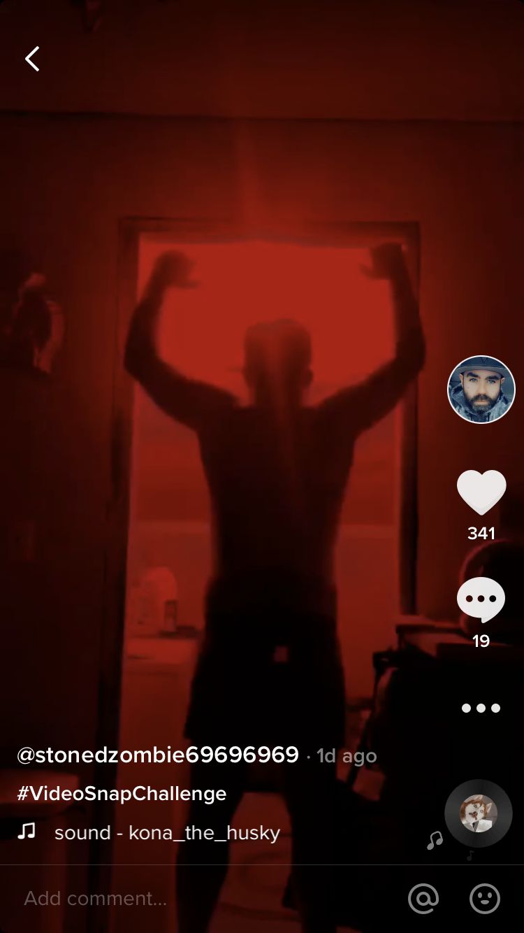 stonedzombie69 OnlyFans profile picture
