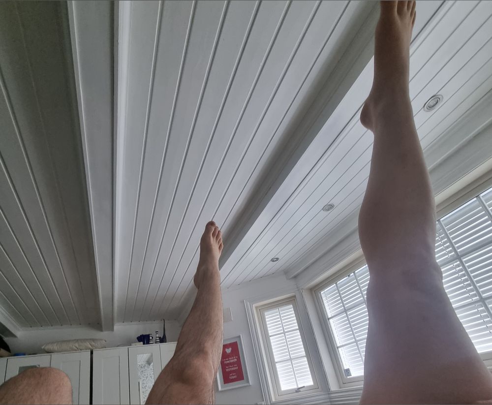 sillynudies OnlyFans profile picture