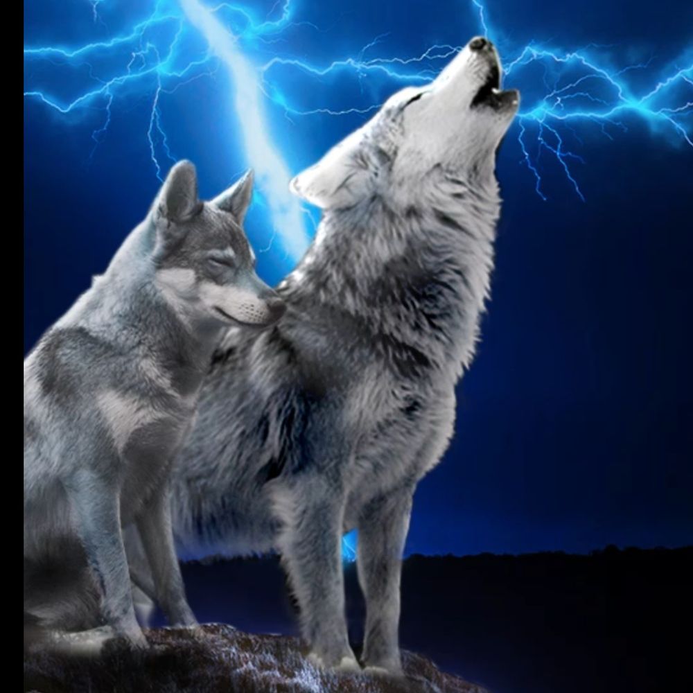 wickedsparky OnlyFans profile picture