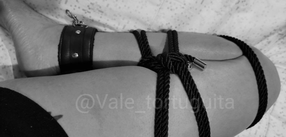 vale_tortuguita OnlyFans profile picture