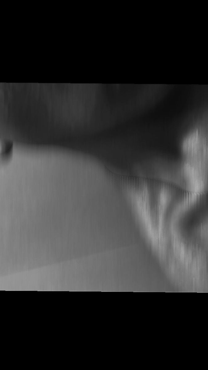 michaelzyz59 OnlyFans profile picture