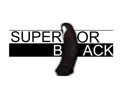 superiorblack OnlyFans picture