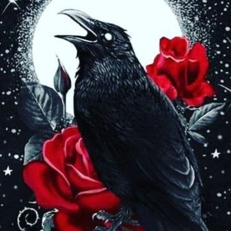 ravynrose5432 OnlyFans profile picture