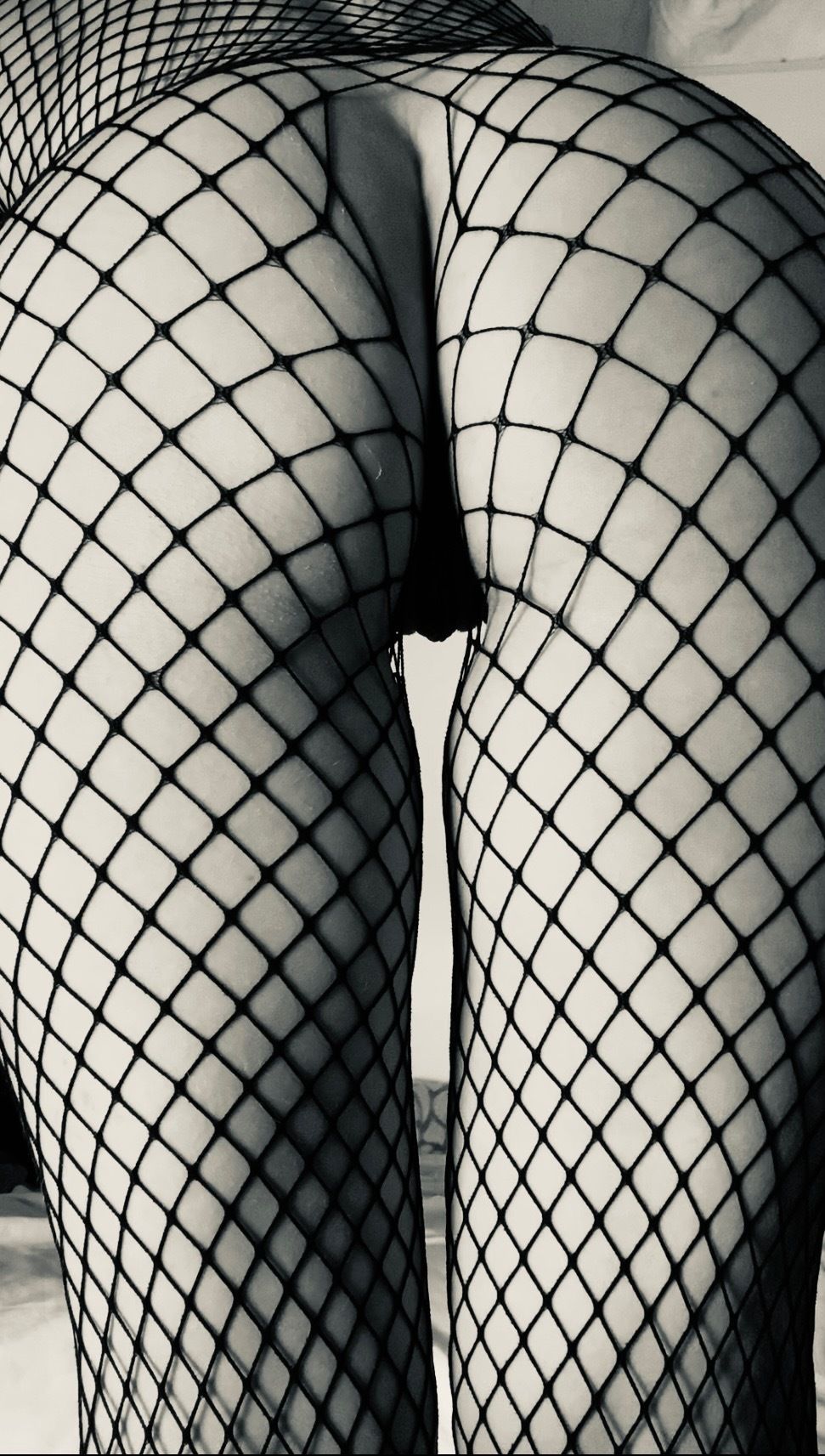 alyarossi OnlyFans profile picture
