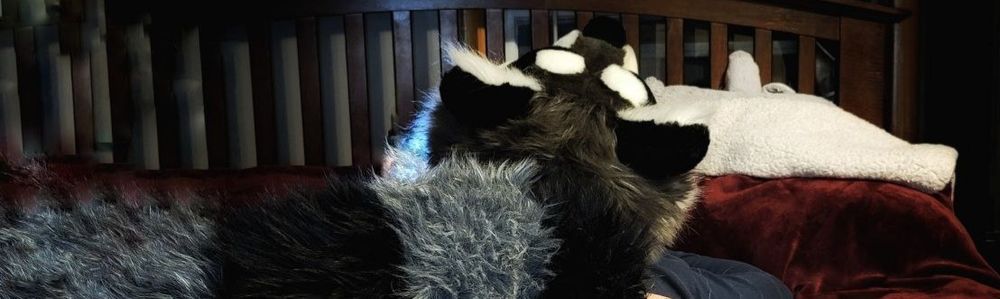 snarkyraccoonx OnlyFans profile picture