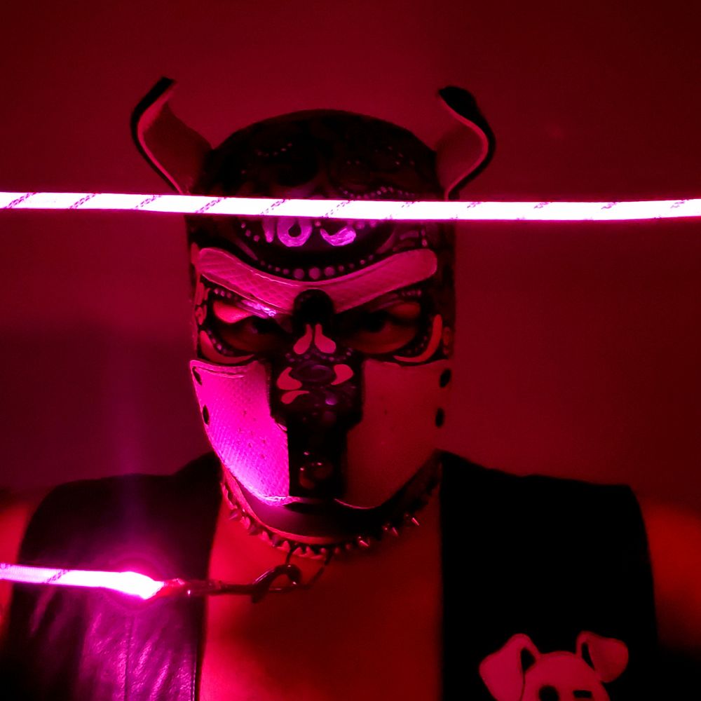 pupramsey OnlyFans profile picture