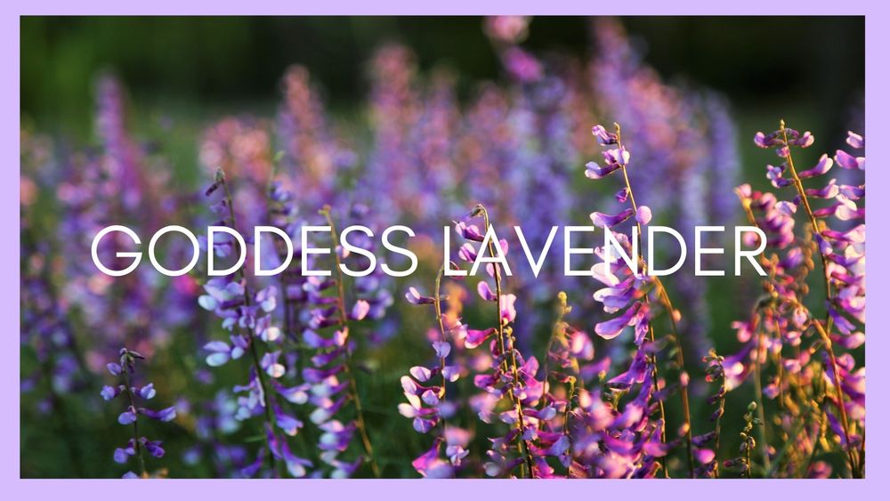 goddesslavender69 OnlyFans profile picture