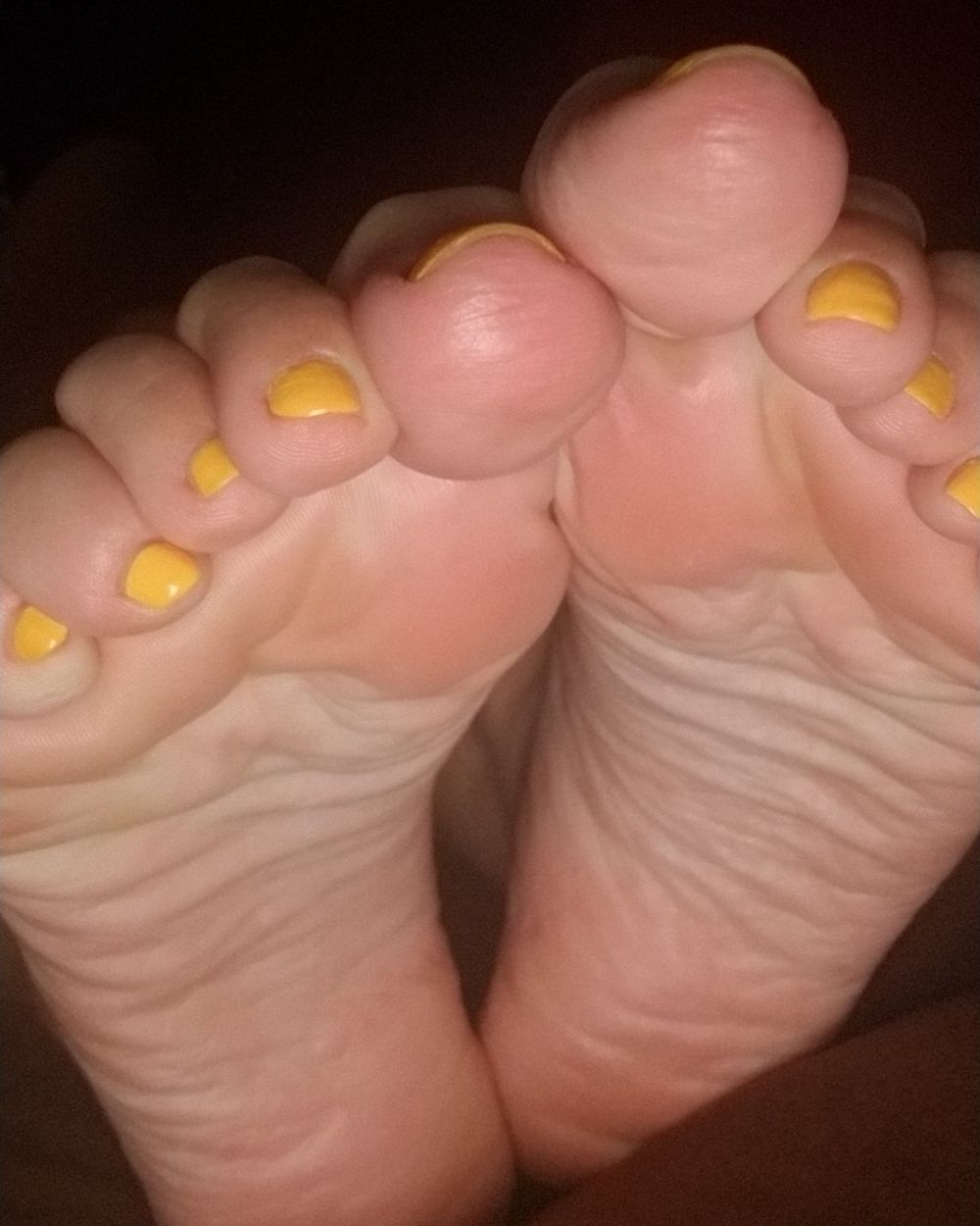 ariestar712 OnlyFans profile picture