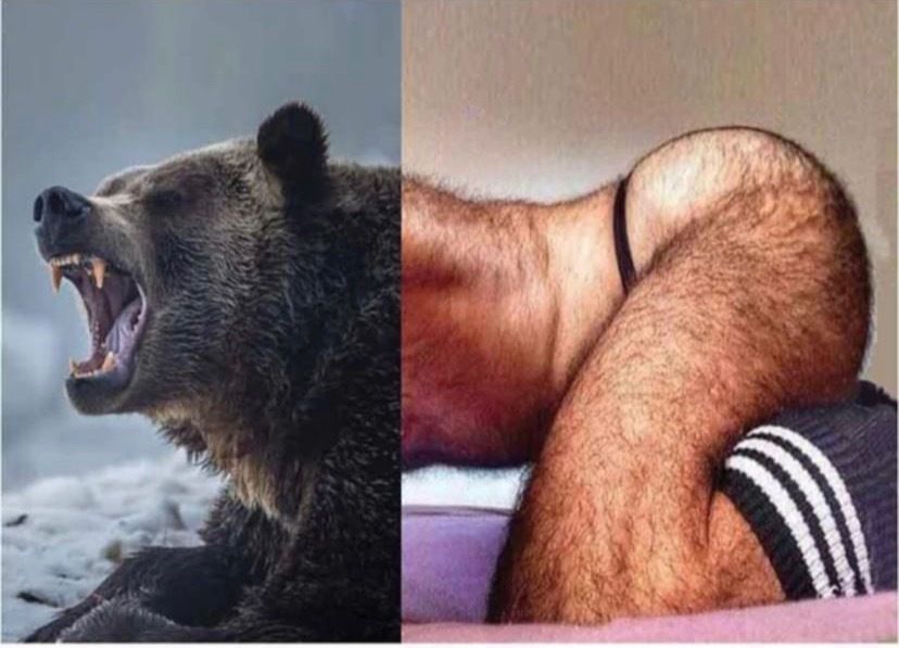 djryderxxx OnlyFans profile picture