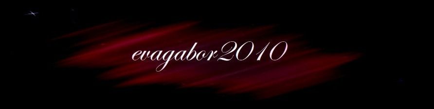 evagabor2010 OnlyFans profile picture