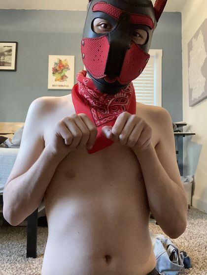 trevorpup12 OnlyFans picture